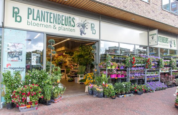 Plantenbeurs fleurig en kleurrijk